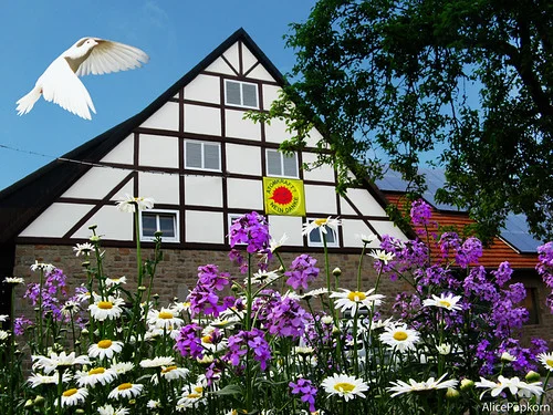 Is Solar Power Worth It? A Beginner’s Guide for Homeowners solar power in germany