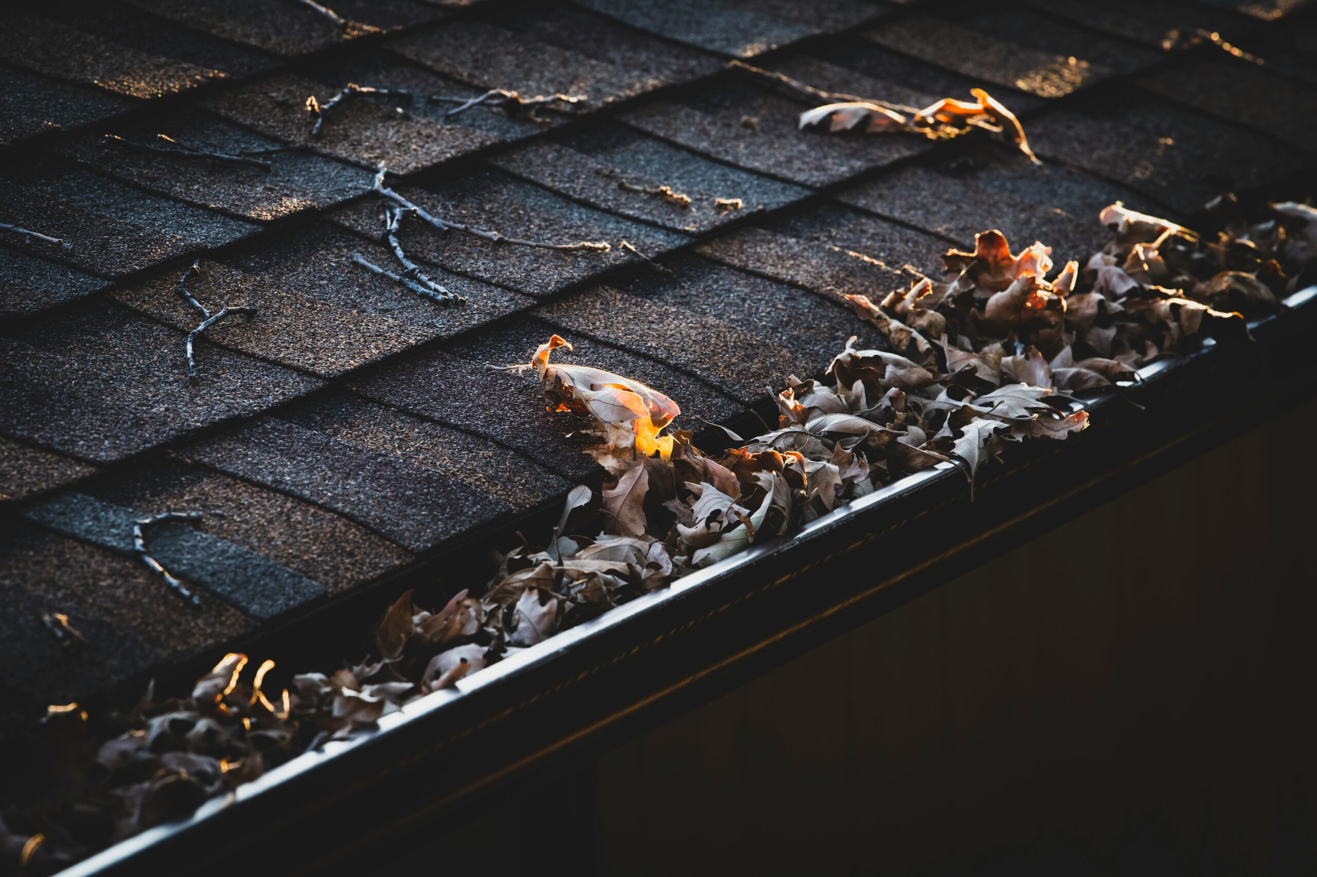 Read more about the article Top Reasons to Keep Your Gutters Clean (And What Happens If You Don’t)