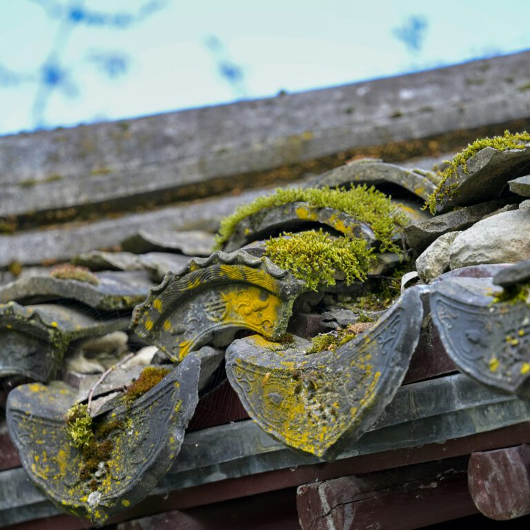 Read more about the article How to Protect Your Home from Water Damage: A Complete Guide