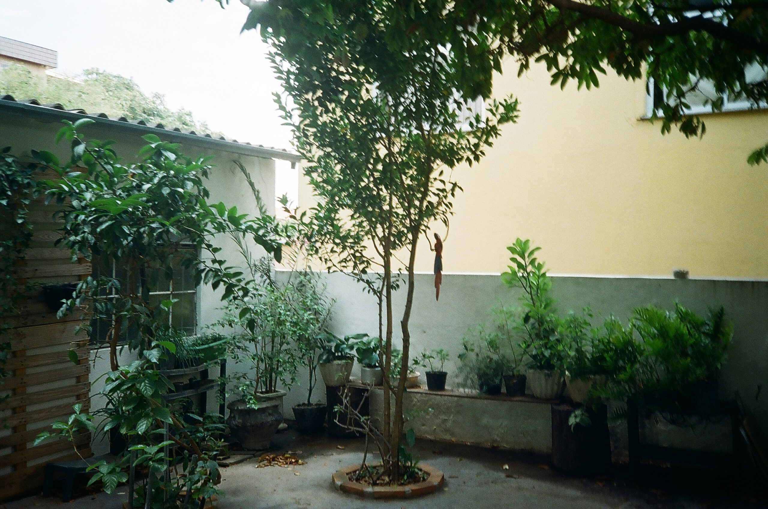 Read more about the article Transform Your Small Backyard Into an Outdoor Oasis