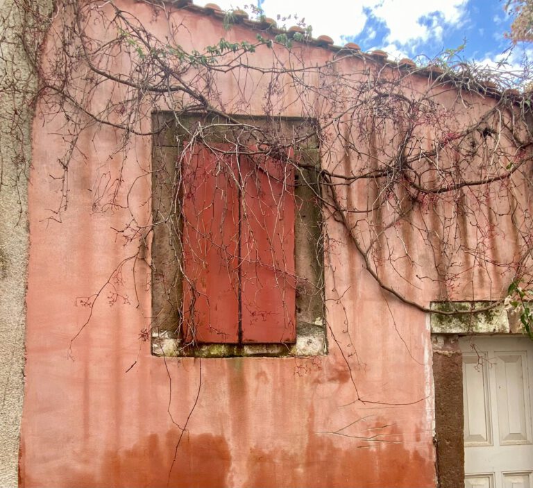 Read more about the article Smart Home Upgrades That Will Actually Save You Money