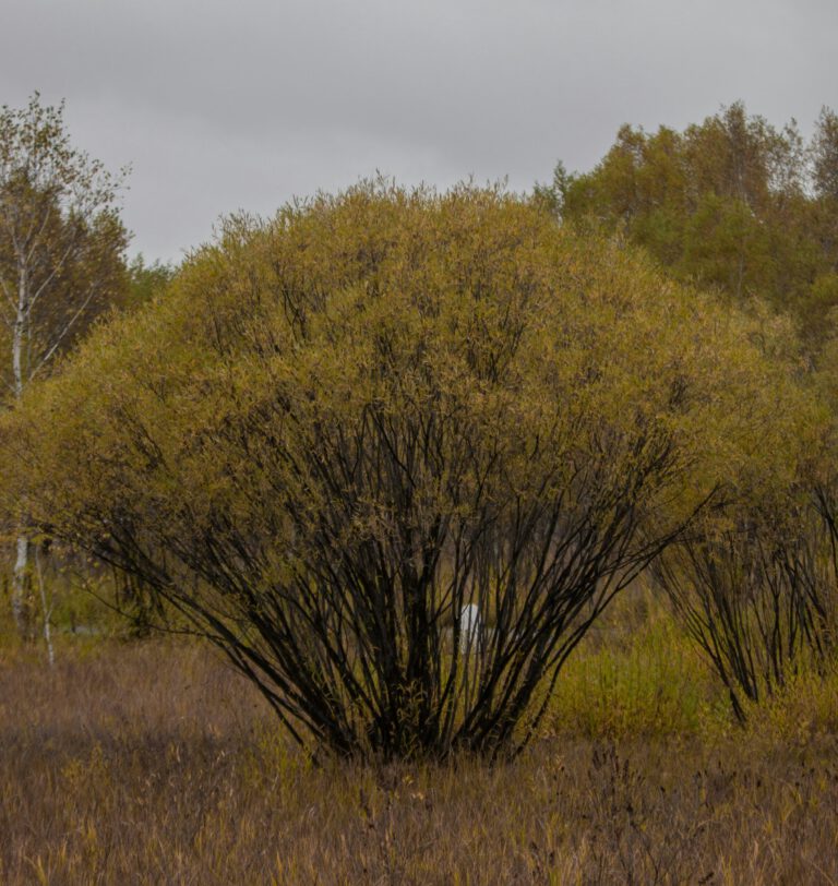 Read more about the article How to Prepare Your Home for Extreme Weather