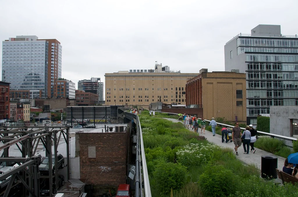 the high line (new york), june 2009 24