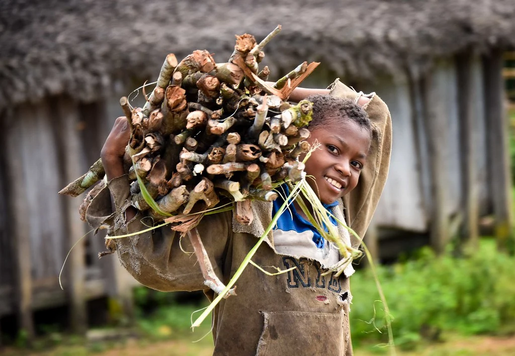 sticks for home, madagascar