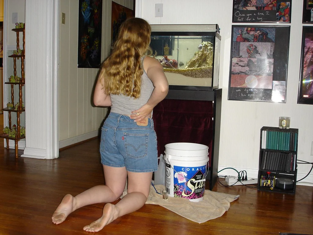 it all had to start somewhere. at some point sarah said: 'do you think i should get a bigger fish tank?' 'yes dear, let's add about 500 gallons, that won't be much more work!' or at least that's how she tells it when we are lugging 5 gallon buckets.