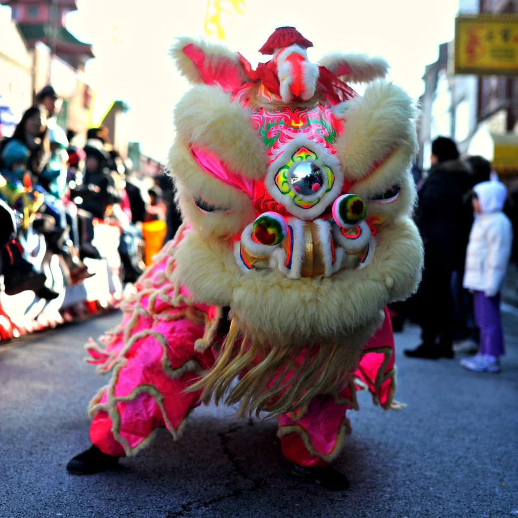 the year of the dragon